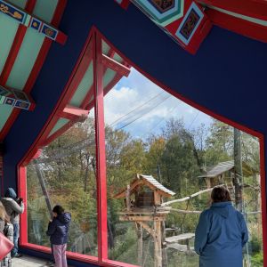 photo carré blog beauval (1)