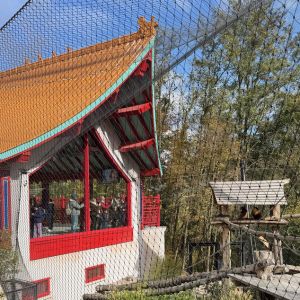 photo carré blog beauval (2)