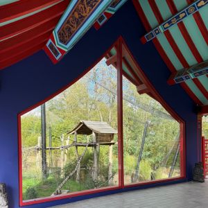 photo carré blog beauval